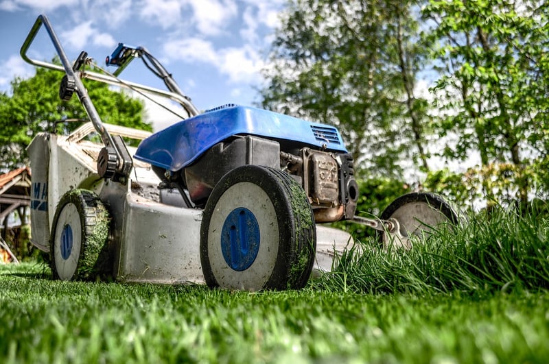 Outdoor Gardening