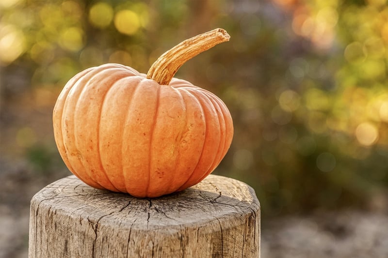 Autumn Equinox